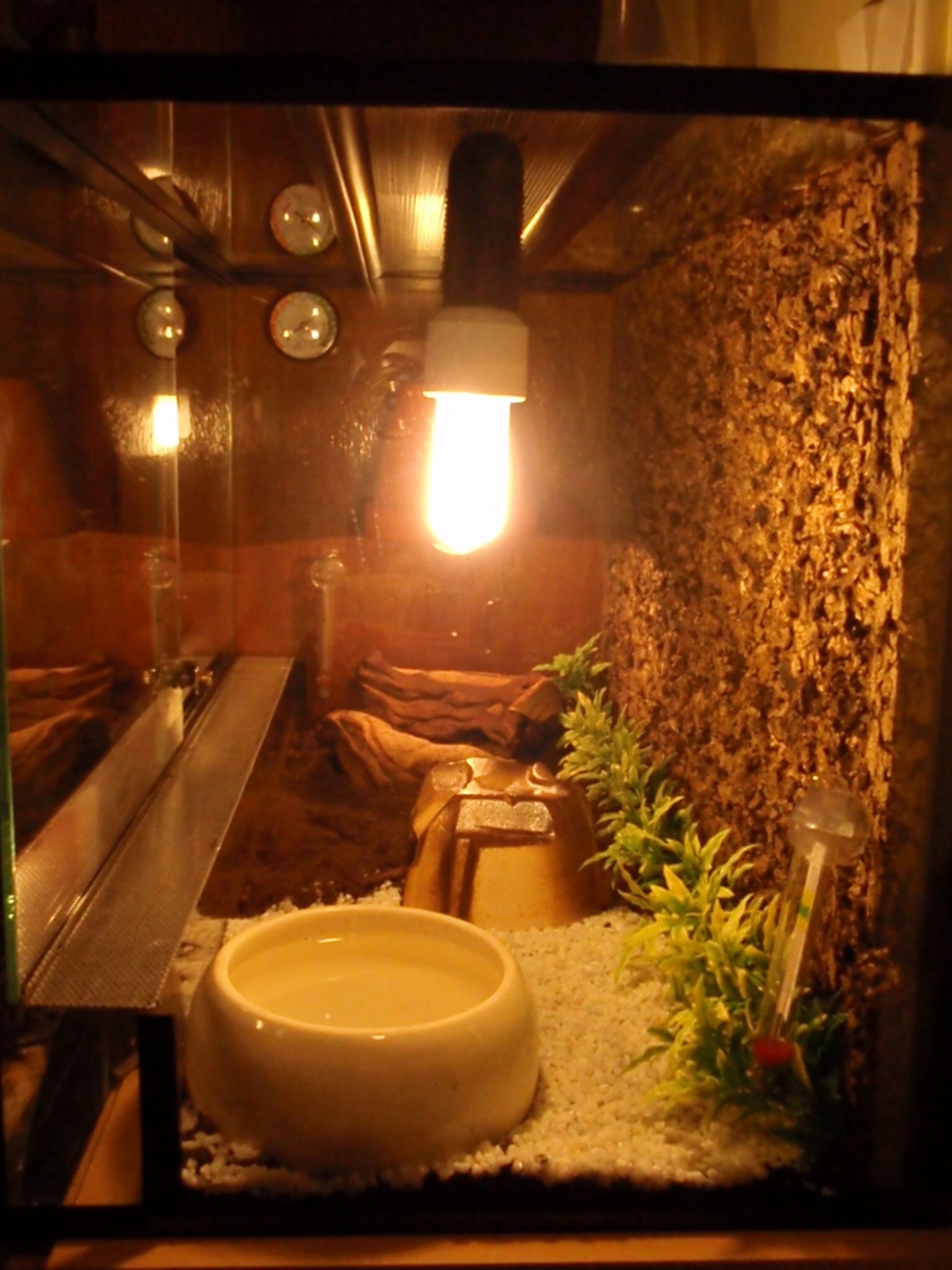 PA040022.JPG